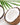 Coconut Oil