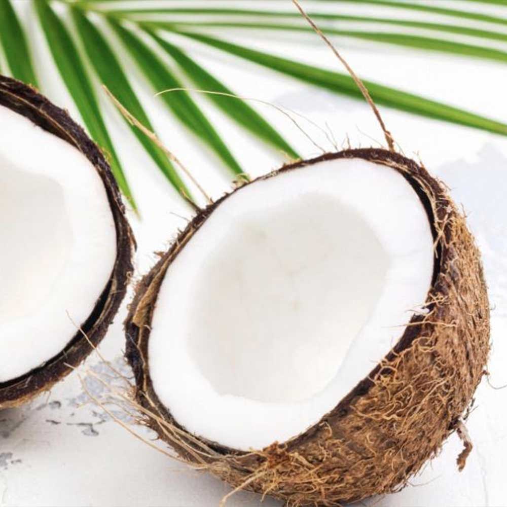 Coconut Oil