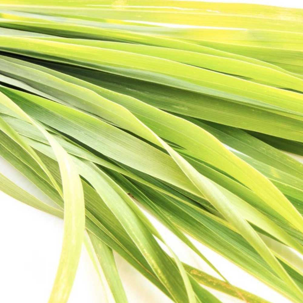 Lemongrass