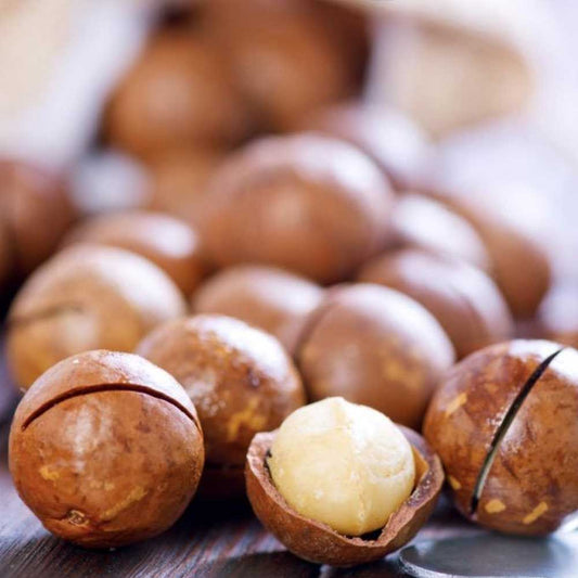 Macadamia Nut