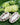 Noni