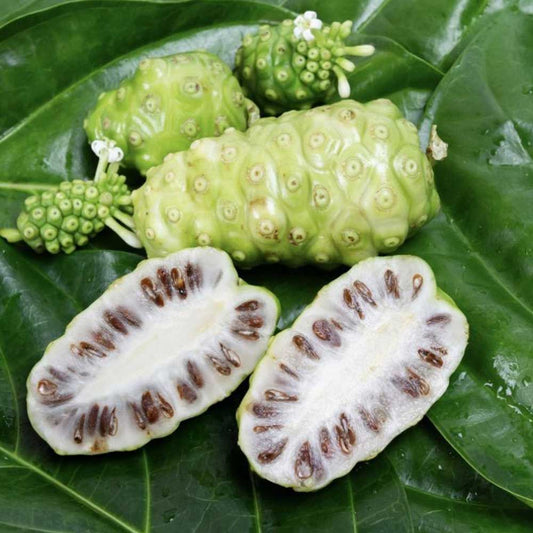Noni